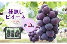 ＜2025年発送分先行予約＞ピオーネ2.0kg相当 ALPAJ008