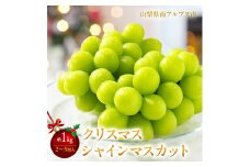 ＜2025年発送分先行予約＞冬季限定！！山梨県南アルプス市産　クリスマスシャインマスカット　約1.0kg 2～3房入り ALPAH002