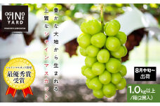 【2025年先行予約_8月中旬～発送】山梨県産シャインマスカット 1．０ｋｇ以上／箱　２房入 ALPAK004｜おすすめ 人気 山梨県 産地直送 フルーツ 果物 くだもの ブドウ ぶどう シャイン マスカット くだもの  国産 葡萄  新鮮