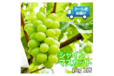 5-194 クール便発送　シャインマスカット　1kg（2房）　ALPDF002