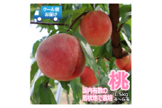 5-193 クール便発送　桃　1.5kg（4～6玉）　ALPDF001