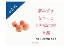 【2025年先行予約】【かため桃】桃好き必見！桃のリレーが楽しめる！季節の【桃】おうち用（もも）お試しセット 約2kg 約5~8玉 ALPDS002