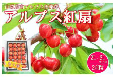 【2025年／令和7年発送先行予約】さくらんぼ　希少品種　「アルプス紅扇」24粒入り ALPAA001