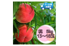 6-115 クール便発送　桃　5kg（13～18玉）　ALPDZ001