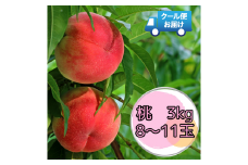 6-114 クール便発送　桃　3kg（8～11玉）　ALPDZ002