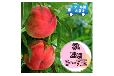 6-113 クール便発送　桃　2kg（6～7玉）　ALPDZ003