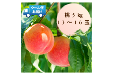 6-112 新鮮なフルーツをクール便発送　桃　5kg（13～16玉）　ALPEA001