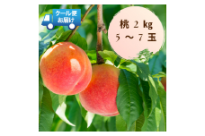 6-111 新鮮なフルーツをクール便発送　桃　2kg（5～7玉）　ALPEA002
