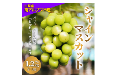 ＜2025年発送分先行予約＞朝どれ新鮮！キラキラ大粒！ご褒美シャインマスカット ALPDY001