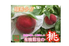 6-163 【有機栽培の美味しい桃約3kg 7月発送】自然に優しく希少でジューシーな天然桃(9～11個入)！　ALPEF005