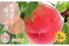 ＜2025年発送分先行予約＞朝もぎ直送！桃　食べきりサイズ3玉 ALPAJ002