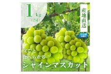 6-184 新鮮なフルーツをクール便発送　シャインマスカット　1kg（2房）　ALPEA003