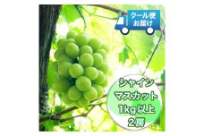 クール便で新鮮にお届け！　シャインマスカット　1㎏　2房 ALPEG002　