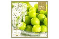 ＜2025年発送分先行予約＞山梨県南アルプス市産シャインマスカット　粒　1ｋｇ ALPAH044