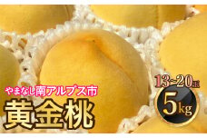 ＜2025年発送分先行予約＞山梨県南アルプス市産　高糖度　黄金桃　【約5ｋｇ　13～20玉】 ALPAH046