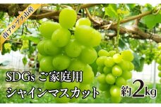 ＜2025年発送分先行予約＞SDGs ご家庭用 シャインマスカット約2.0kg ALPAJ042
