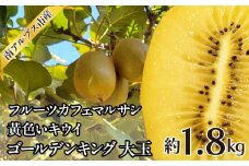 ＜2025年発送分先行予約＞フルーツカフェマルサン　黄色いキウイ　ゴールデンキング　大玉　約1.8kg ALPAJ045