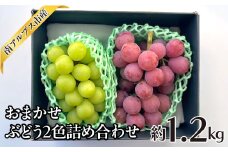 ＜2025年発送分先行予約＞おまかせ　ぶどう2色詰め合わせ約1.2kg ALPAJ047