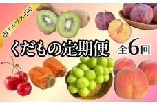 ＜2025年発送分先行予約＞南アルプス市産　年6回くだもの定期便 ALPAJ048