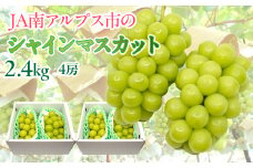 ★TBSテレビ系列「ひるおび」で取り上げられました！★＜2026年発送先行予約＞シャインマスカット　約1.2kg×2セット（2.4kg） ALPAA047 山梨 山梨県 ぶどう 葡萄 ブドウ マスカット 種なし 大粒 フルーツ くだもの 果物 高級 新鮮 産地直送 贈答 ギフト 家庭用  2026年