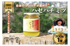 南アルプス天空舎のはちみつハゼ300g ALPAB107