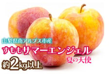 【2025年発送先行予約】すもも　サマーエンジェル「夏の天使」約2kg以上 ALPCZ009