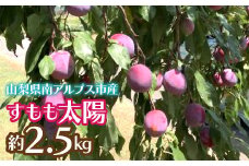 【2025年発送先行予約】すもも太陽 約2.5kg ALPCZ011