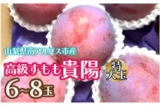 【2025年発送先行予約】高級すもも「貴陽」特大玉6～8玉 ALPCZ012