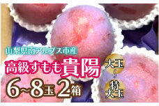 【2025年発送先行予約】高級すもも「貴陽」　大玉～特大玉6玉～8玉 2箱 ALPCZ013