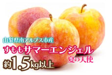 【2025年発送先行予約】すもも　サマーエンジェル「夏の天使」約1.5kg以上 ALPCZ010
