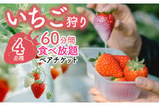 【いちご狩りペアチケット】最大4品種60分間いちご食べ放題 ALPAS006