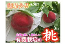 <2025年発送先行予約>【有機栽培の美味しい桃約3kg 8月発送】自然に優しく希少でジューシーな天然桃(9～11個入)！ ALPEF016