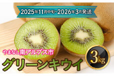 【先行予約】【2025年11月中旬～2026年3月発送分】山梨県南アルプス市産　グリーンキウイ　約3ｋｇ ALPAH036-B