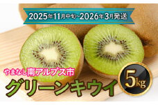 【先行予約】【2025年11月中旬～2026年3月下旬発送分】山梨県南アルプス市産　グリーンキウイ　約5ｋｇ ALPAH037ｰB