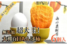 【無添加】超大玉！　大和百目あんぽ柿6個入 ALPAJ051　| 柿　かき　家庭用　粒　新鮮　果物　くだもの　フルーツ　産地直送　山梨　南アルプス市　南アルプス　山梨県産 |
