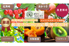 山梨県 南アルプス市産 厳選フルーツ定期便全6回 ALPEM001