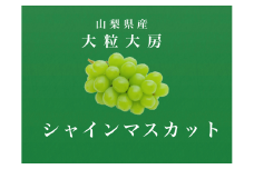 ＜2025年発送先行予約＞大粒大房！山梨県産シャインマスカット 1房 ALPDS006