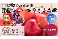 山梨県南アルプス市産　厳選さくらんぼ（紅秀峰）500ｇ ALPEM004