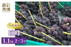 【2025年発送先行予約】山梨県産　産地直送　巨峰　1.1kg(2?3房) ALPEO004