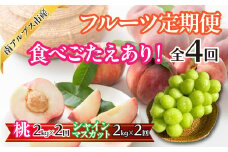 ＜2025年発送先行予約＞食べごたえあり！フルーツ4回定期便（桃2.0kg×2回　 | くだもの 果物 フルーツ もも シャインマスカット ブドウ ぶどう 葡萄 山梨県産 産地直送 農家直送 新鮮 美味しい 南アルプス市 |  ALPAJ052