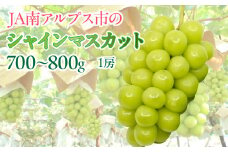 ＜2026年発送先行予約＞★TBSテレビ系列「ひるおび」で取り上げられました！★ シャインマスカット1房(約700～800g)  ALPAA051 ｜ 山梨 山梨県 ぶどう 葡萄 ブドウ マスカット  フルーツ くだもの 果物 高級 新鮮 産地直送 贈答 ギフト  