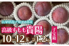 ＜2025年発送分先行予約＞すもも貴陽(子宝箱)10～12玉(計1.2kg) ALPCZ018