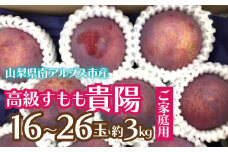 ＜2025年発送分先行予約＞【ご家庭用】高級すもも「貴陽」約3.0kg（16～26玉） ALPCZ017