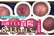 ＜2025年発送分先行予約＞【ご家庭用】高級すもも「貴陽」約1.5kg（8～13玉） ALPCZ016