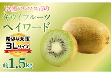 【2025年度先行予約】キウイフルーツ（ヘイワード）３Lサイズ　約1.5kg  ALPAA052 | ふるさと納税 キウイフルーツ キウイ ヘイワード 果物 フルーツ おすすめ 山梨県 南アルプス市 送料無料 |