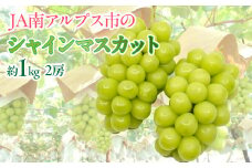 ＜2026年発送先行予約＞★日本テレビ「ZIP！」で取り上げられました！★シャインマスカット 2房 約1kg  ALPAA055| 山梨 山梨県 ぶどう 葡萄 ブドウ マスカット  フルーツ くだもの 果物 高級 新鮮 産地直送 贈答 ギフト 2026年 