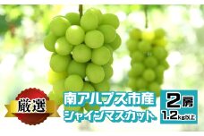 南アルプス市産 シャインマスカット 1.2kg以上　（2房） ALPEV001　山梨 山梨県 ぶどう 葡萄 ブドウ マスカット 種なし フルーツ くだもの 果物 高級 新鮮 産地直送 贈答 ギフト 家庭用 2025年  南アルプス市