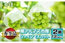 南アルプス市産 シャインマスカット 秀等品 1.2kg以上　（2房） ALPEV002　山梨 山梨県 ぶどう 葡萄 ブドウ マスカット 種なし フルーツ くだもの 果物 高級 新鮮 産地直送 贈答 ギフト 家庭用 2025年  秀等品 南アルプス市