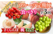 ★先行予約　【食べきり】旬のフルーツ3回定期便〈くだもの　フルーツ　さくらんぼ、桃、シャインマスカット　新鮮　農家直送　産地直送　人気　山梨県　南アルプス市　〉 ALPAJ054　