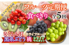 ★先行予約【食べきり】新鮮！旬のフルーツ5回定期便〈くだもの　フルーツ　さくらんぼ、桃、黒系ぶどう　ピオーネ　ブラックビート　ふじみのり　シャインマスカット　キウイフルーツ　新鮮　農家直送　産地直送　人気　山梨県　南アルプス市　〉 ALPAJ055　